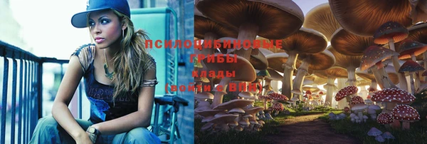 каннабис Покачи