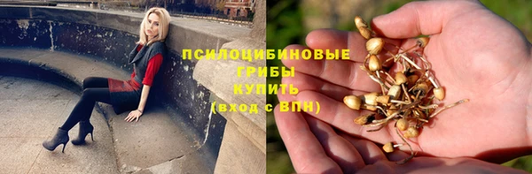 jwh Михайловск