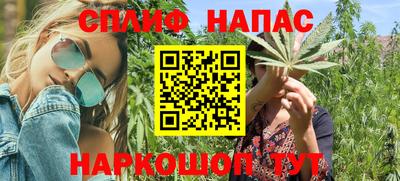 прущие грибы Аргун