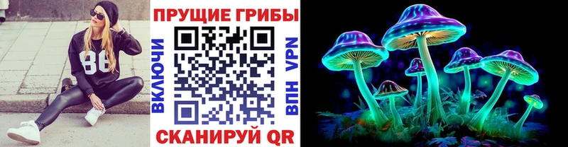 Псилоцибиновые грибы GOLDEN TEACHER  блэк спрут зеркало  Рассказово 