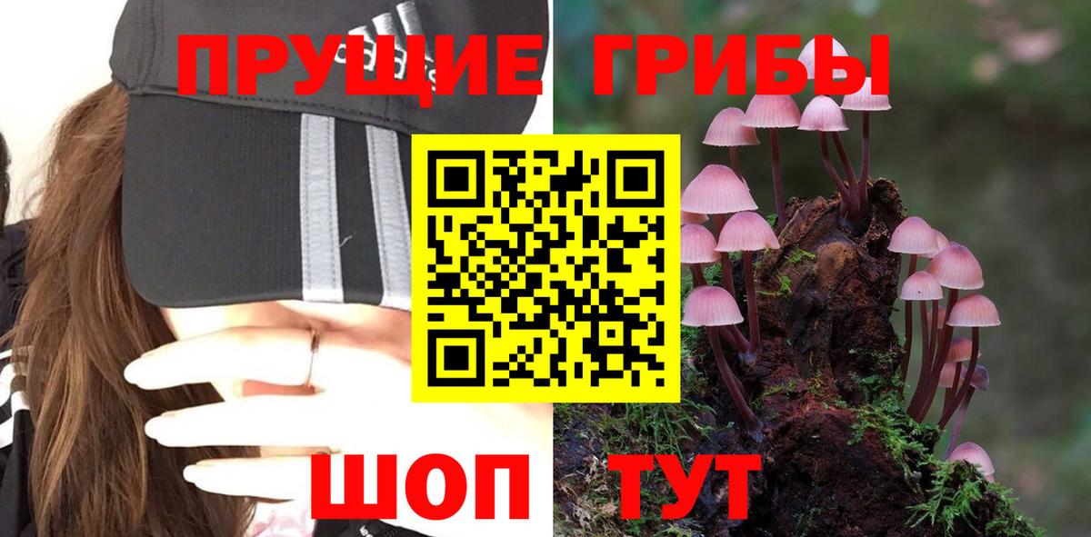 Галлюциногенные грибы Magic Shrooms  Вход с VPN  Рассказово 